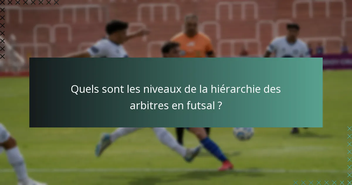 Quels sont les niveaux de la hiérarchie des arbitres en futsal ?